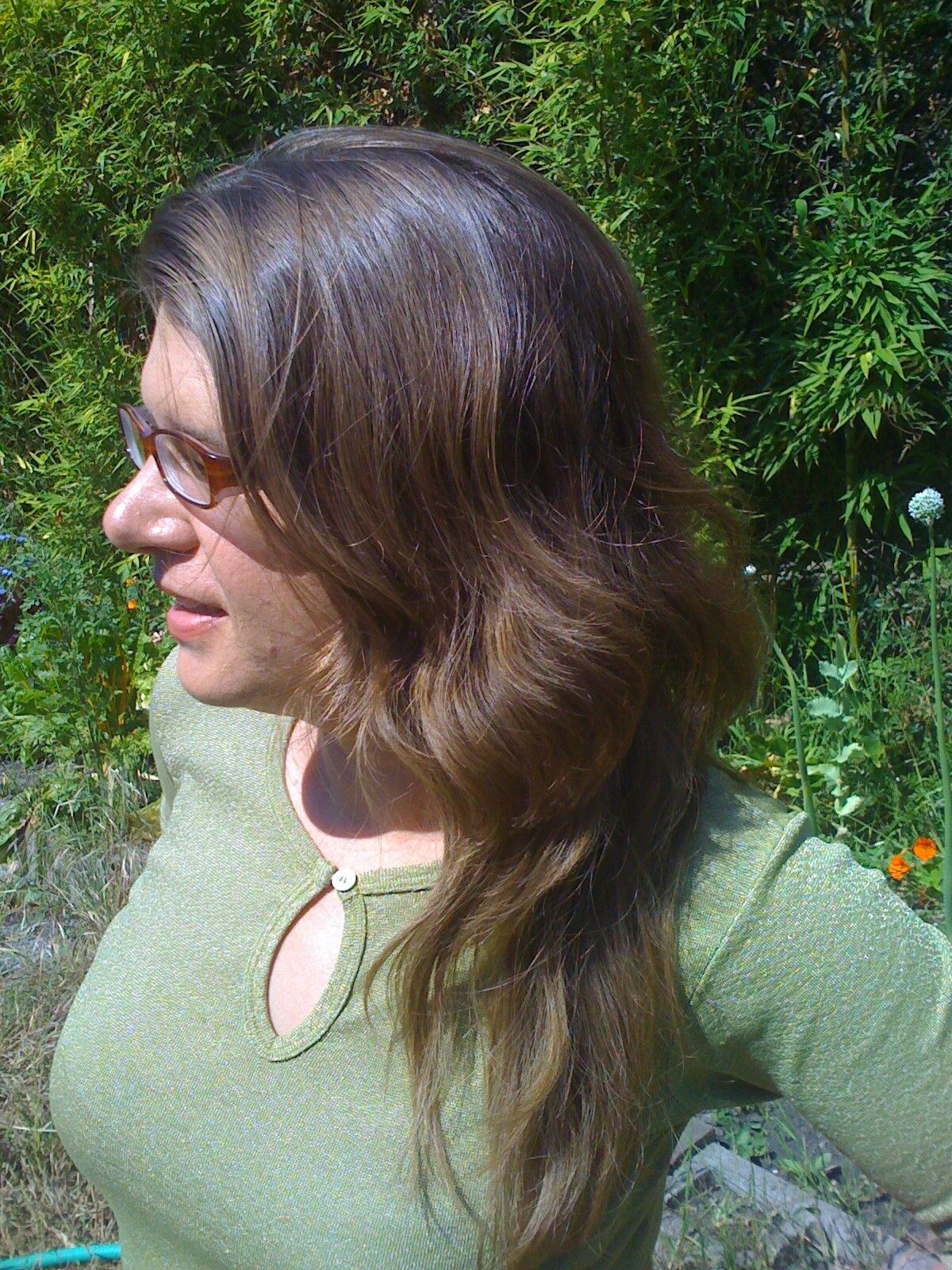 DIY Herbal Rinse For Naturally Shiny Tangle Free Hair MsBehavedcom